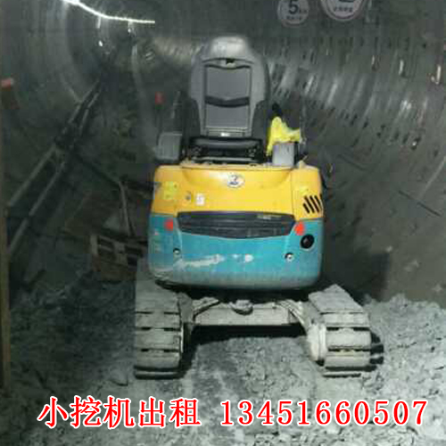 微型小挖機(jī)租賃的應(yīng)用廣泛，今天帶大家來了解一下！(圖1)